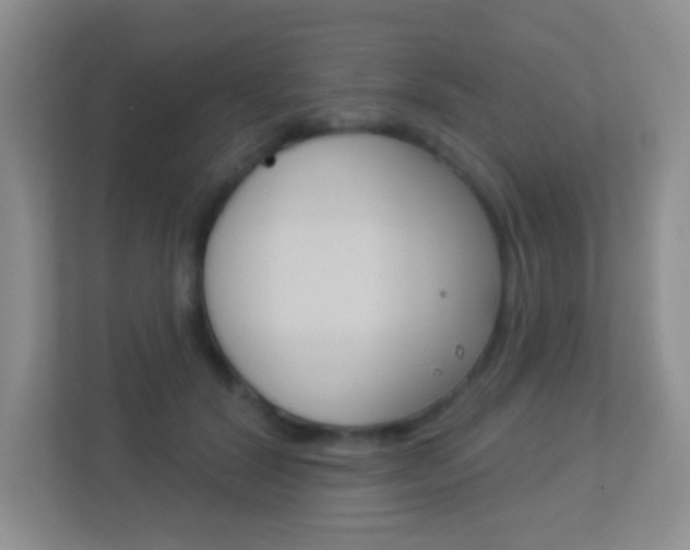 X0000113880604200909241028