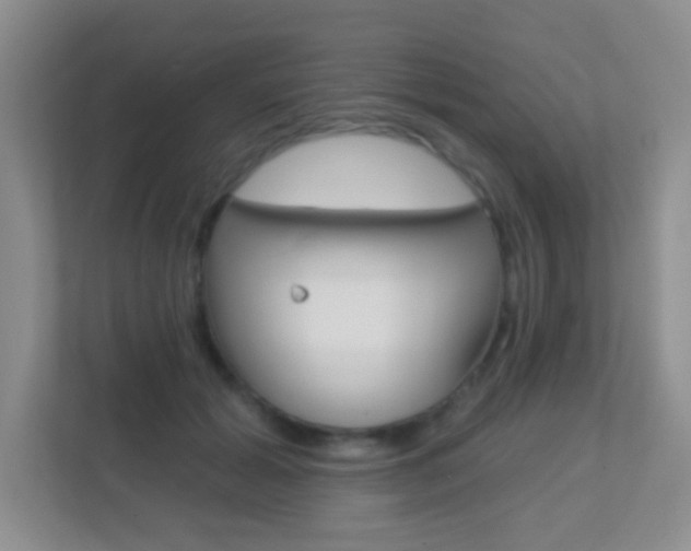 X0000113880605200909241028