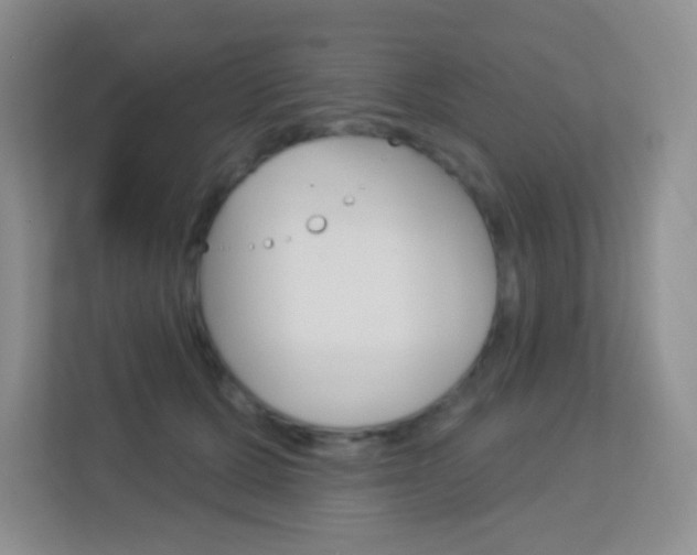 X0000113880607200909241028