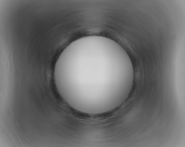 X0000113880608200909241028