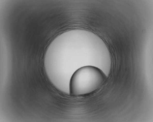 X0000113880609200909241028