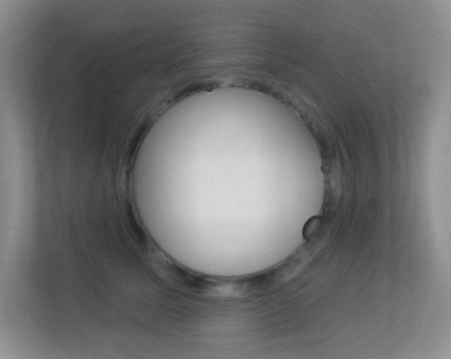 X0000113880611200909241028