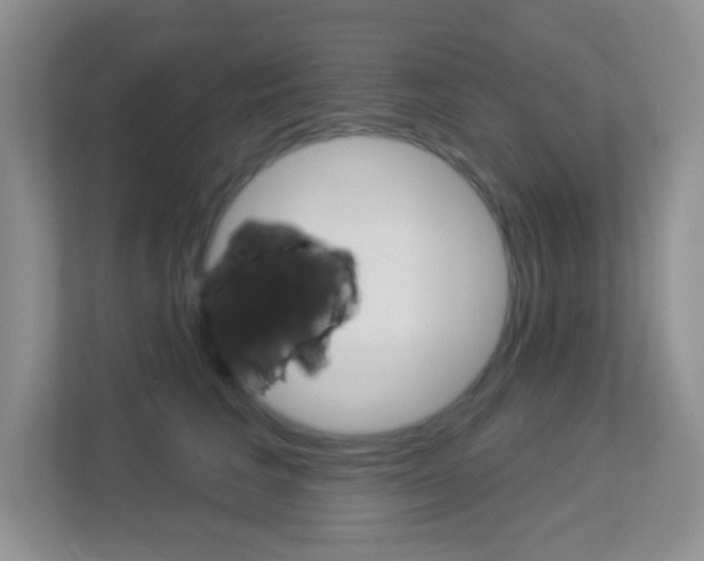 X0000113880613200909241028