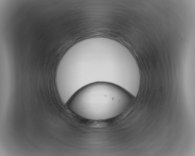 X0000113880617200909241027