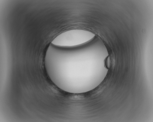X0000113880619200909241027