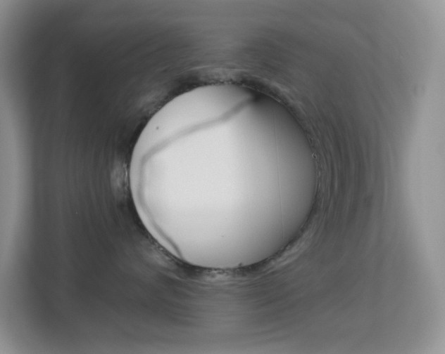 X0000113880624200909241027