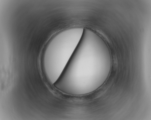 X0000113880626200909241027