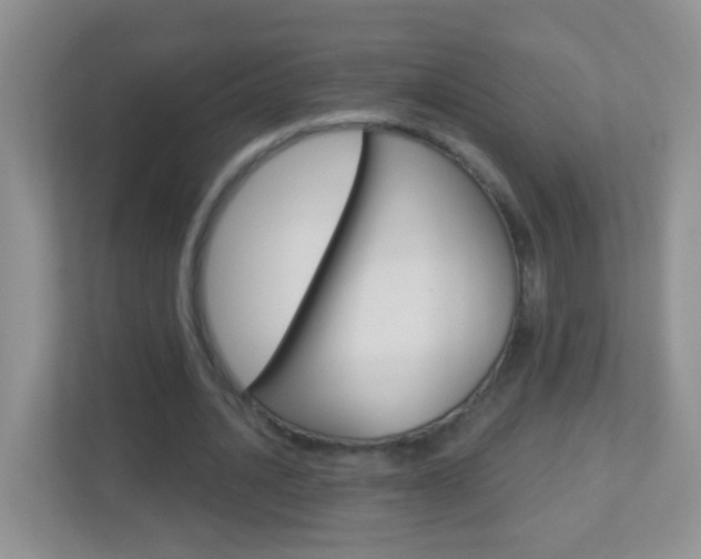 X0000113880628200909241027
