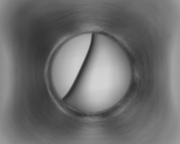 X0000113880630200909241027