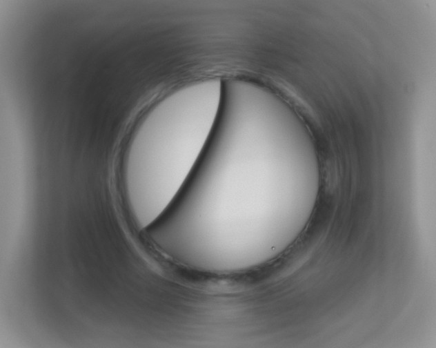 X0000113880634200909241027