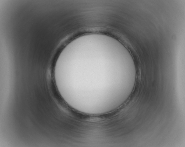 X0000113880636200909241027