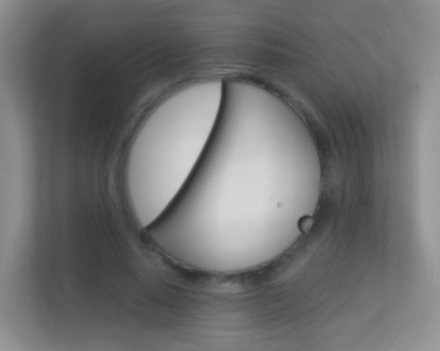 X0000113880640200909241027