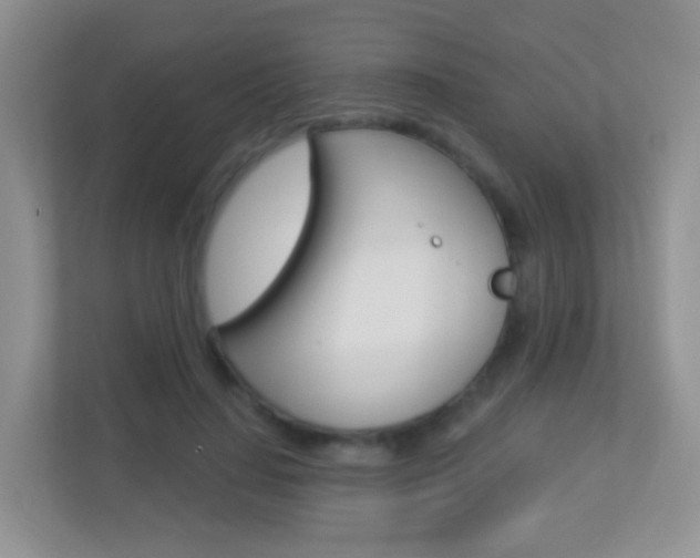 X0000113880644200909241027