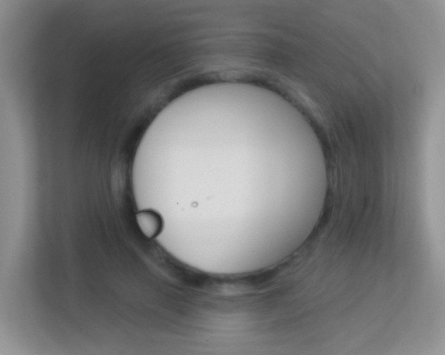 X0000113880645200909241027