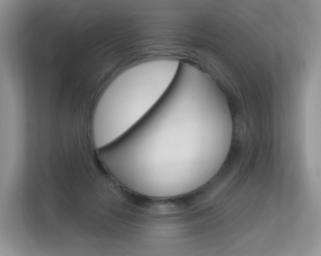 X0000113880650200909241027