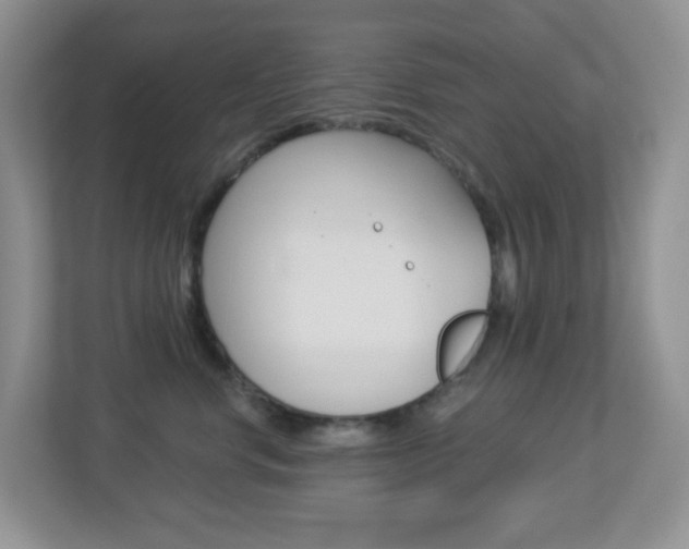 X0000113880668200909241027