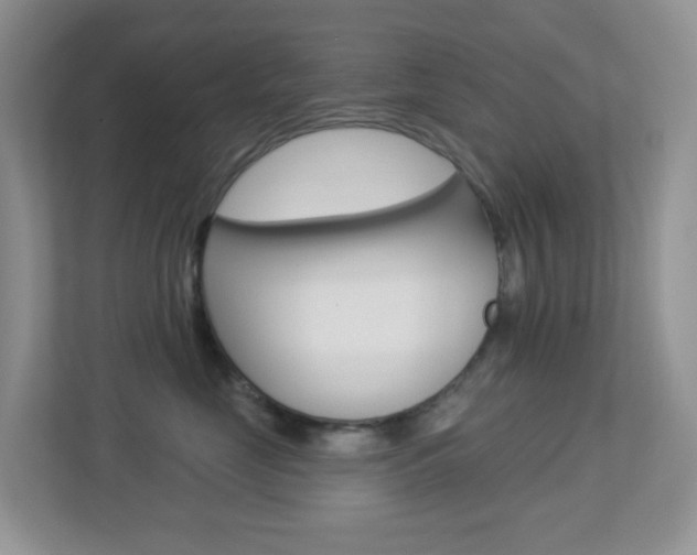 X0000113880669200909241027