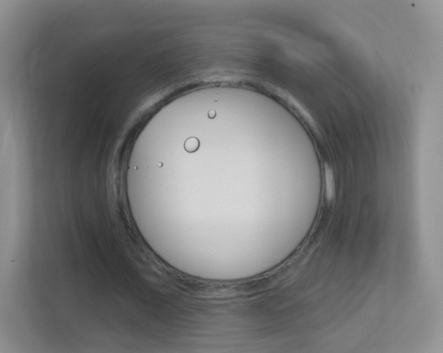 X0000113880675200909241027