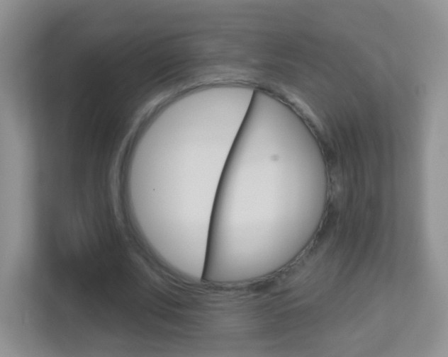 X0000113880679200909241027