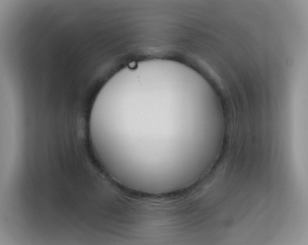 X0000113880689200909241027