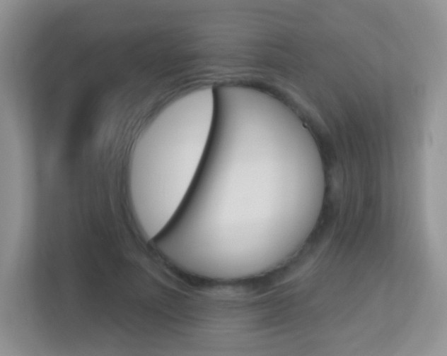X0000113880691200909241027