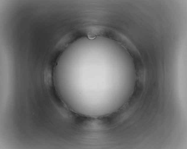 X0000113880696200909241026