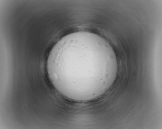 X0000113880698200909241026