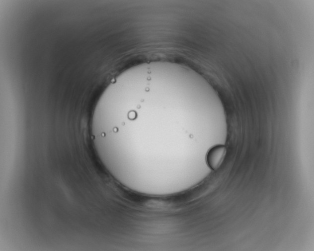 X0000113880699200909241026