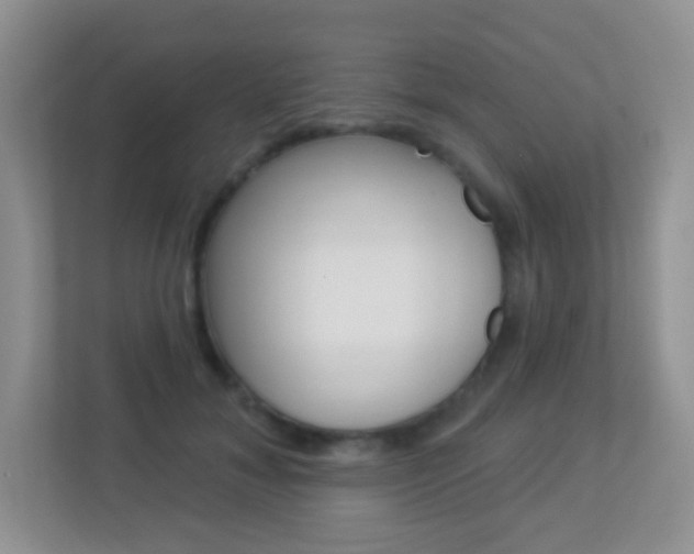 X0000113880700200909241026