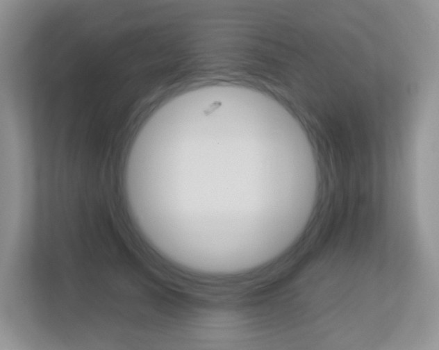 X0000113880705200909241026