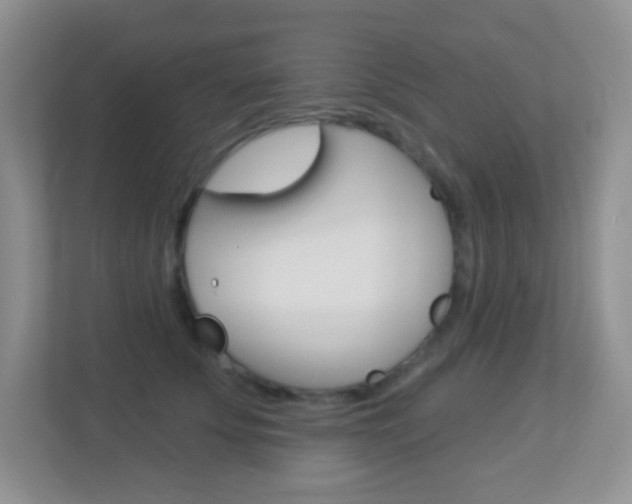 X0000113880707200909241026