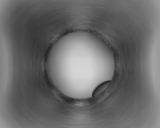 X0000113880708200909241026