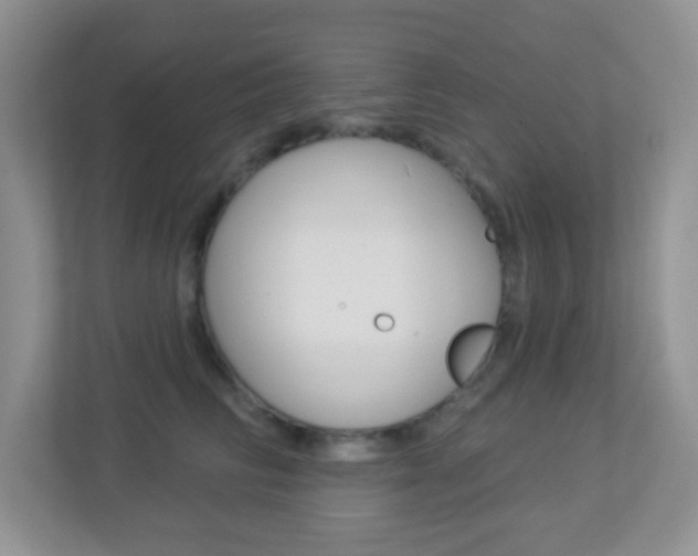 X0000113880710200909241026