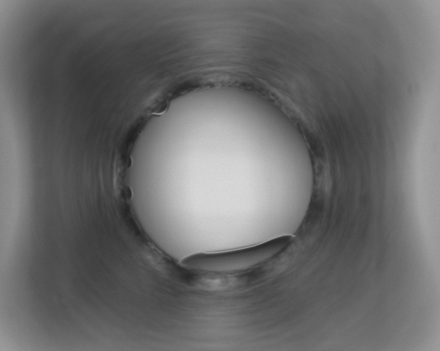 X0000113880712200909241026