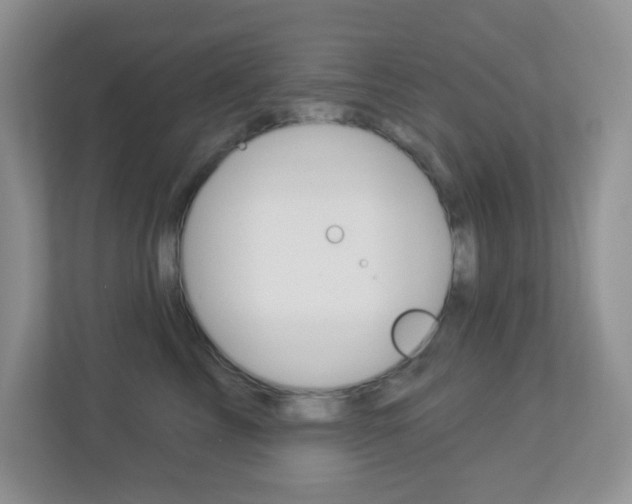 X0000113880713200909241026