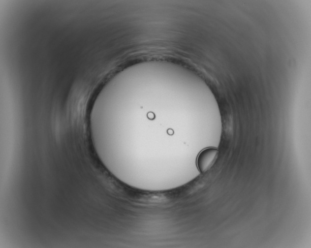 X0000113880715200909241026