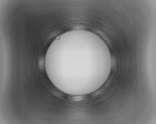 X0000113880717200909241026