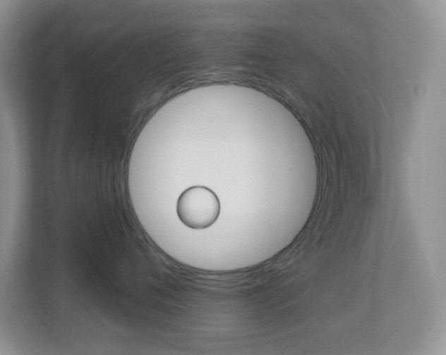 X0000113880720200909241026