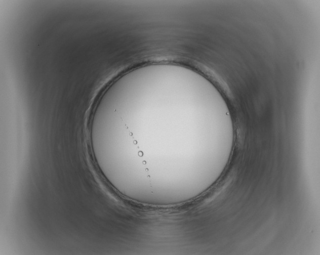 X0000113880721200909241026