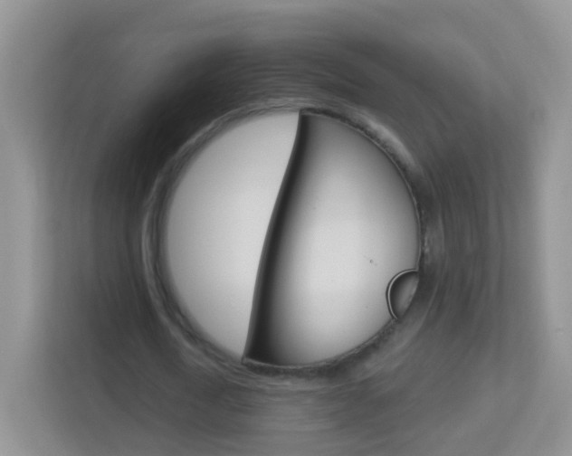 X0000113880722200909241026