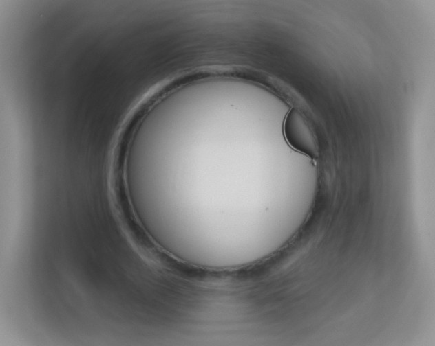 X0000113880728200909241026