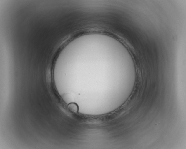X0000113880729200909241026