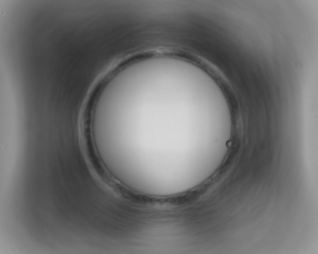 X0000113880730200909241026