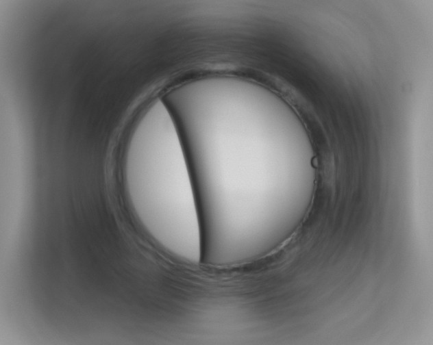 X0000113880731200909241026