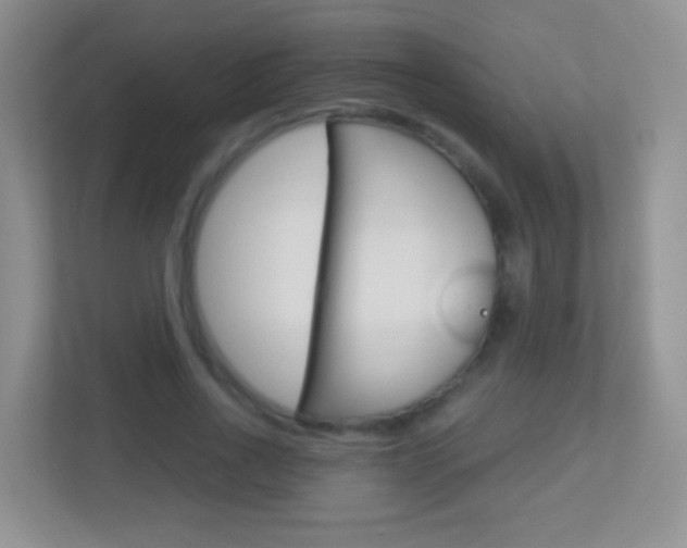 X0000113880734200909241026