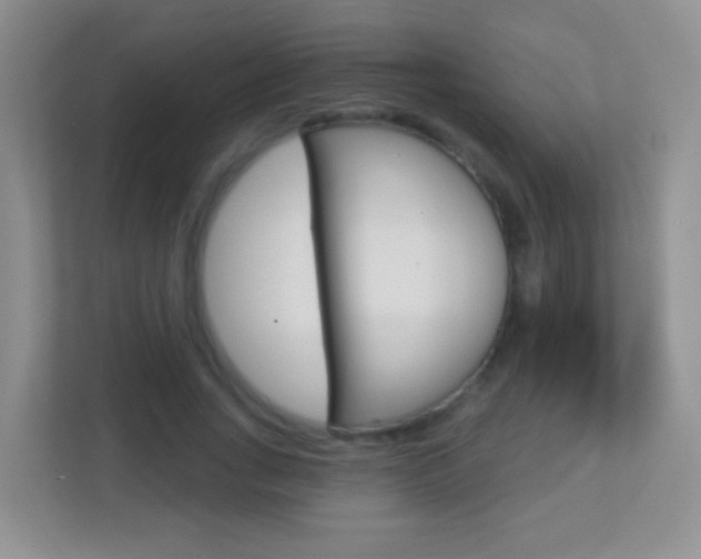 X0000113880735200909241026