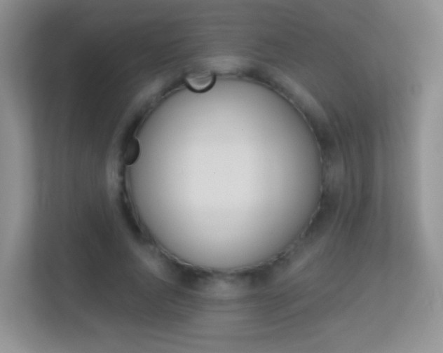 X0000113880736200909241026