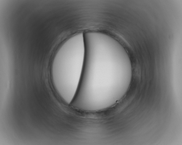X0000113880738200909241026