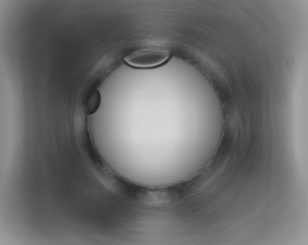 X0000113880744200909241026