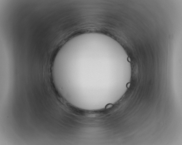 X0000113880746200909241026